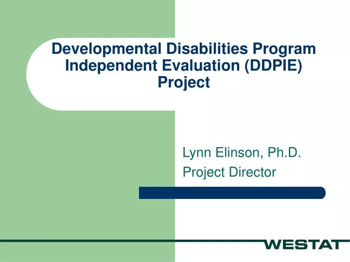 developmental disabilities program independent evaluation ddpie project