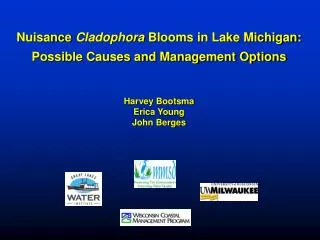 Nuisance Cladophora Blooms in Lake Michigan: Possible Causes and Management Options