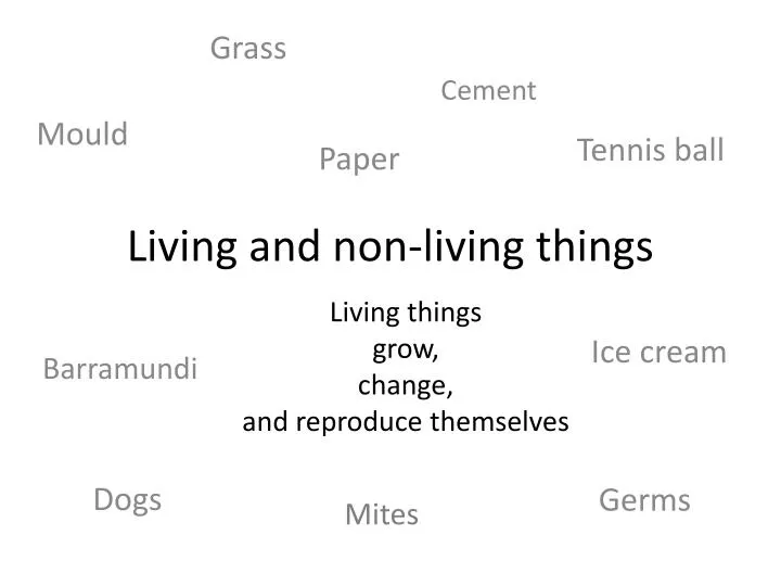 living and non living things