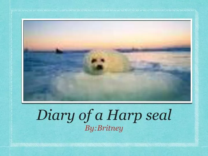 diary of a harp seal