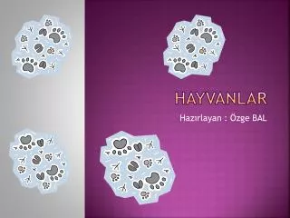 hayvanlar