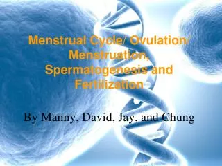 Menstrual Cycle/ Ovulation/ Menstruation, Spermatogenesis and Fertilization