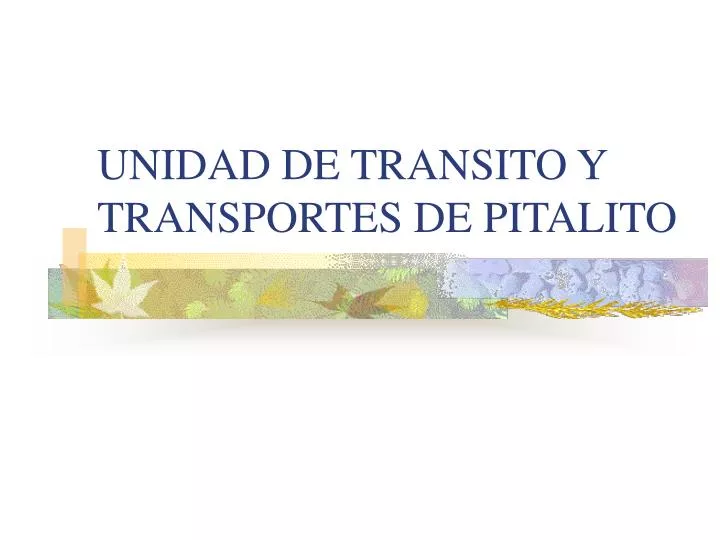 unidad de transito y transportes de pitalito
