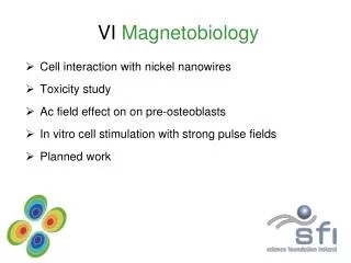 VI Magnetobiology