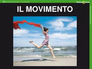 il movimento
