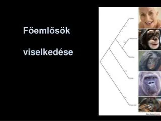 f eml s k viselked se