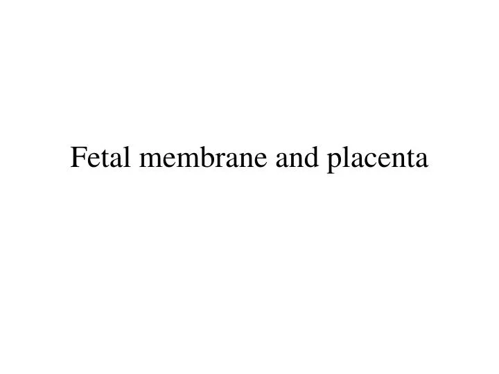 fetal membrane and placenta