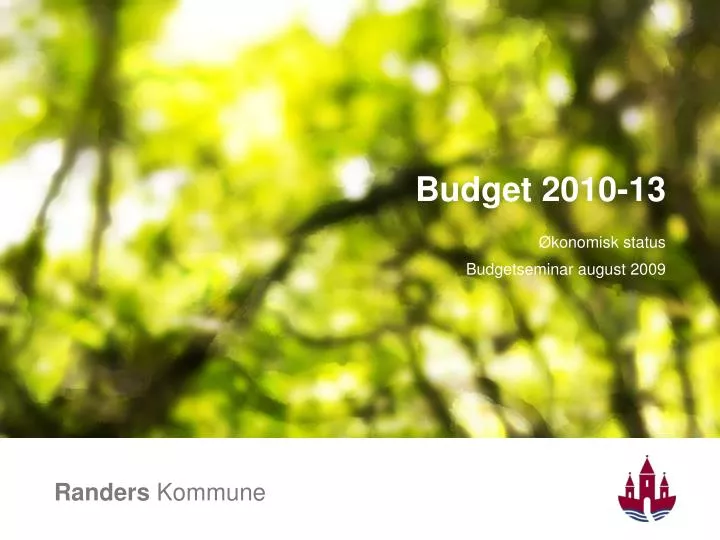 budget 2010 13