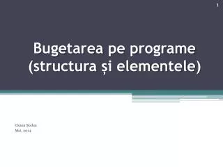 bugetarea pe programe structura i elementele