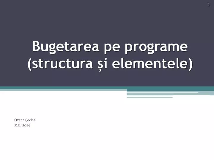 bugetarea pe programe structura i elementele