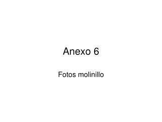 anexo 6
