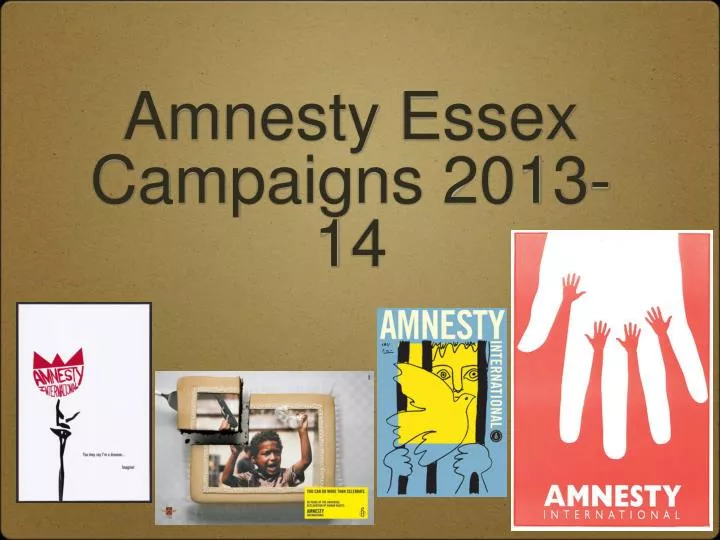 amnesty essex campaigns 2013 14