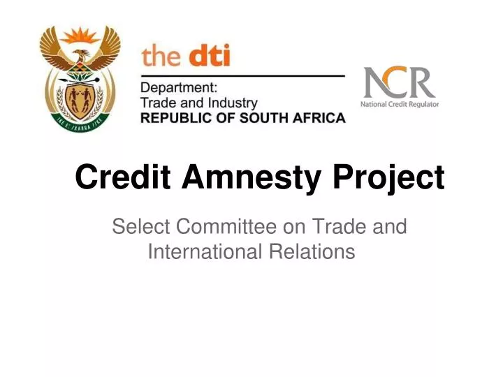 credit amnesty project