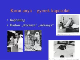 korai anya gyerek kapcsolat