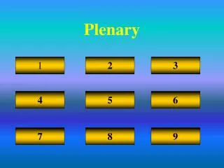 plenary