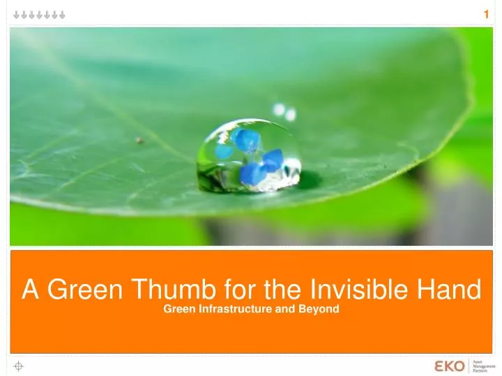 a green thumb for the invisible hand green infrastructure and beyond