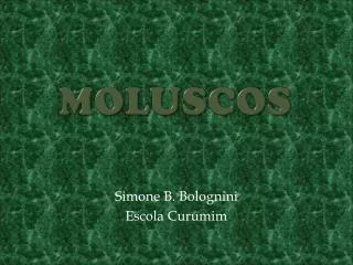 moluscos