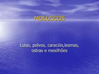 moluscos