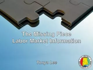 The Missing Piece Labor Market Information