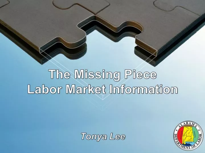 the missing piece labor market information