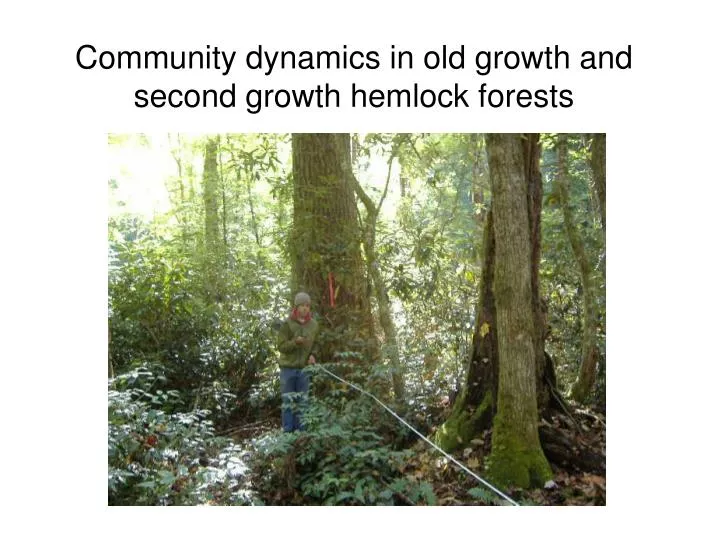 community dynamics in old growth and second growth hemlock forests