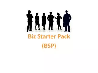 Biz Starter Pack (BSP)