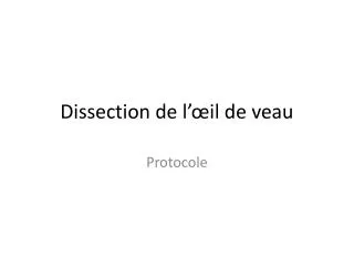 dissection de l il de veau