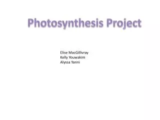 Photosynthesis Project