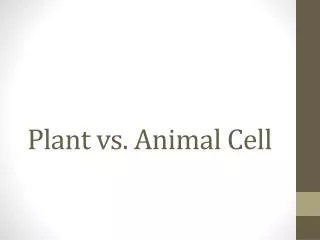 Plant vs. Animal Cell