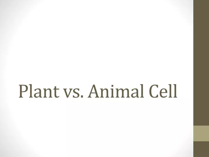 plant vs animal cell