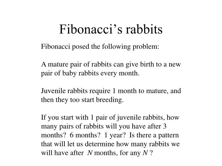 fibonacci s rabbits