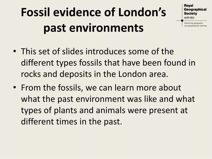 fossil evidence of london s past environments