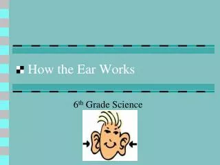 How the Ear Works