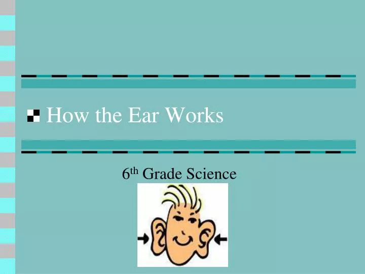 how the ear works