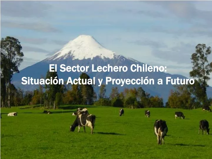 el sector lechero chileno situaci n actual y proyecci n a futuro