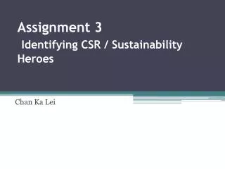 assignment 3 identifying csr sustainability heroes