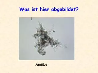 was ist hier abgebildet