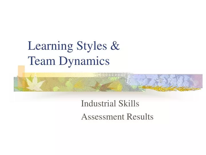 learning styles team dynamics