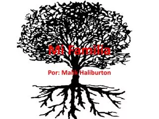 mi familia