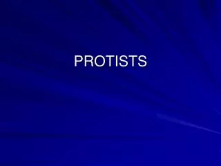 PROTISTS