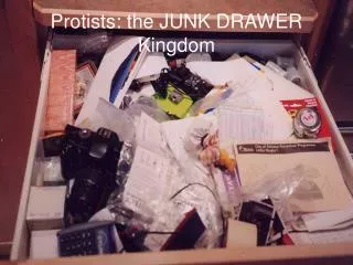 Protists: the JUNK DRAWER Kingdom