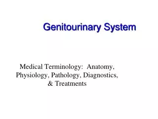 Genitourinary System