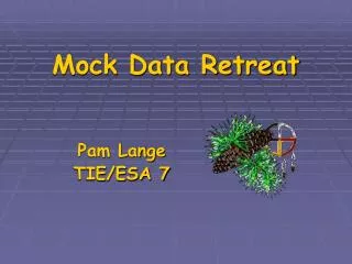Mock Data Retreat