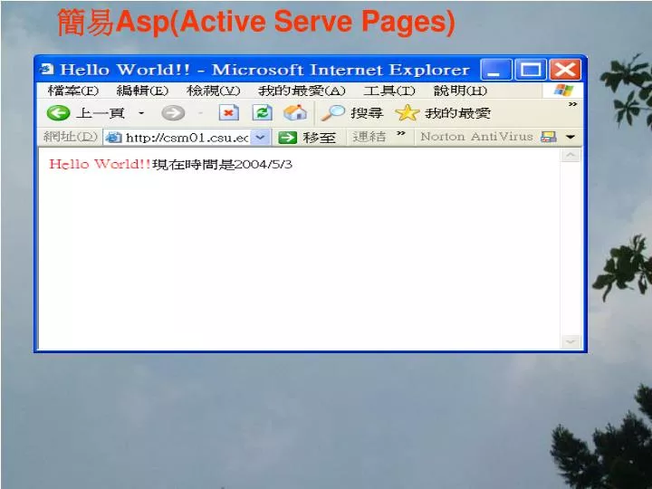 asp active serve pages