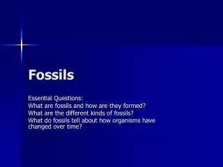 Fossils