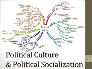Political Culture &amp; Political Socialization
