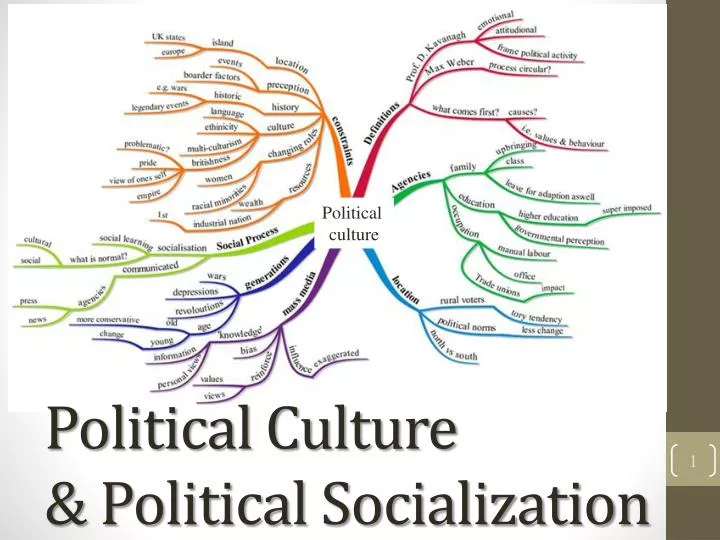 political culture political socialization