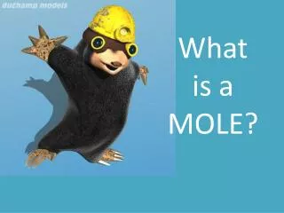 What is a MOLE?