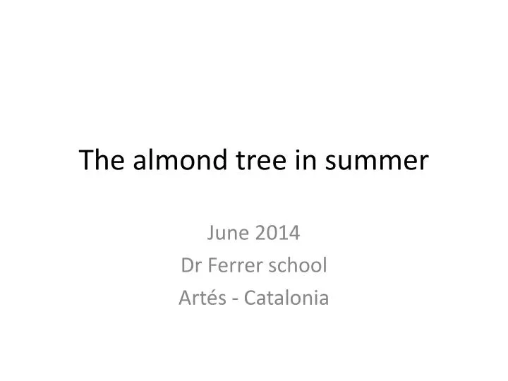 the almond tree in summer