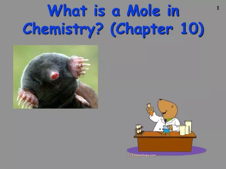 what is a mole in chemistry chapter 10